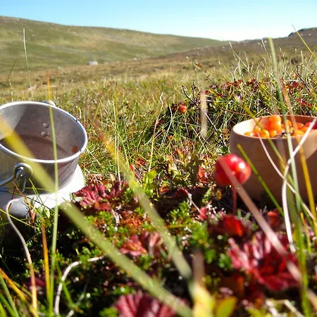 Inn Norefjell - Storhytte Med Jacuzzi Og Fantastisk Beliggenhet Noresund