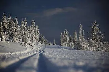 Norefjell - Storhytte Med Jacuzzi Og Fantastisk Beliggenhet Noresund