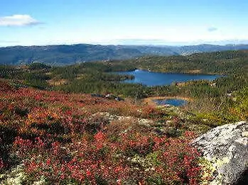 Norefjell - Storhytte Med Jacuzzi Og Fantastisk Beliggenhet Inn 4*