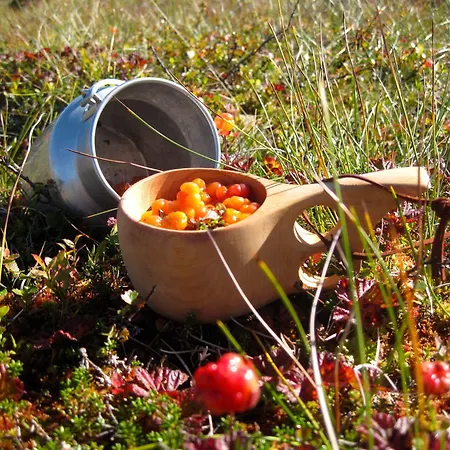 여관 Norefjell - Storhytte Med Jacuzzi Og Fantastisk Beliggenhet Noresund
